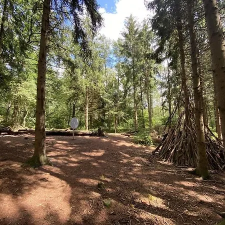 Ferienhaus Ferienhaus Luisa Am Harkebrügger See *